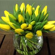Yellow Tulip Vase