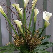 Vase Arum Lily Display