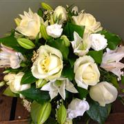 Ivory Lane AVAILABLE FROM 2nd June!