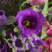 Florist Choice Traditional Bouquet offer 1-4 April!!