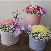 florist choice LARGE carnation hat box