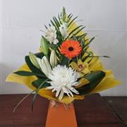 Orange Crush AVAILABLE FROM 31ST MAY