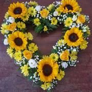 Sunflower Heart Tribute 